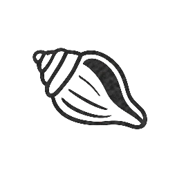 My Beautiful Bahamas